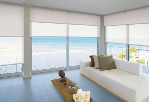 Custom Double Roller Blind Blockout and light